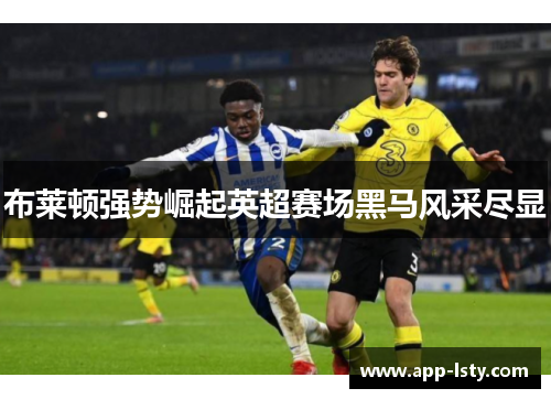 布莱顿强势崛起英超赛场黑马风采尽显